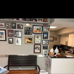 Upstate Veterinary Surgical Center - Waiting area