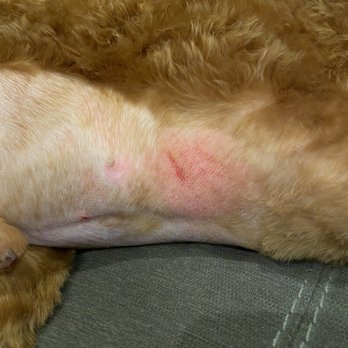 Petco - Pet Stores Near Me - Waterford, Connecticut