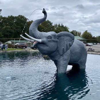 Safari Golf - Spraying elephant - Mini Golf Near Me - Berlin, Connecticut