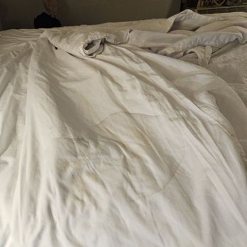 Hampton Inn Rehoboth Beach - Dirty sheets - Hotels Near Me - Rehoboth Beach, Delaware Hampton Inn Rehoboth Beach - Dirty sheets - Hotels Near Me - Rehoboth Beach, Delaware