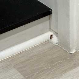 Here's another roach in the bathroom at south seas plantation. Yuck! They stopped allowing third party carts. Bring it back.