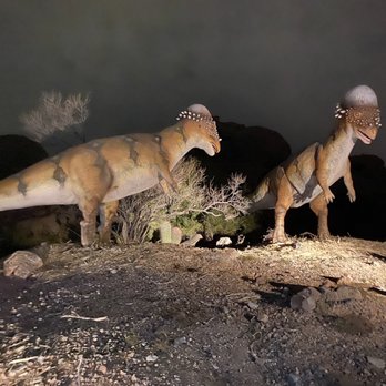 Zoolights - Zoos Near Me - Phoenix, Arizona