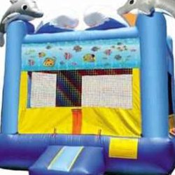 Pa'ina Enterprises - 13x13 Dolphin Bouncer