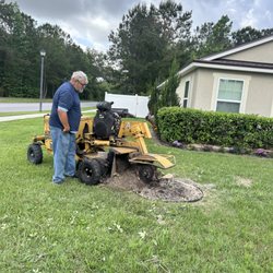 Unrivaled Tree Care