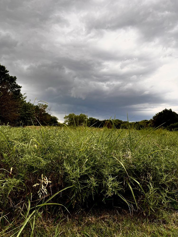 Bob Woodruff Park Image