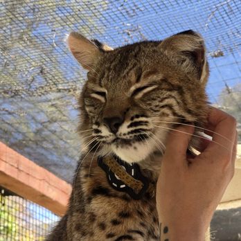 Conservation Ambassadors - Zoo to You - Zoos Near Me - Paso Robles, California Conservation Ambassadors - Zoo to You - Zoos Near Me - Paso Robles, California