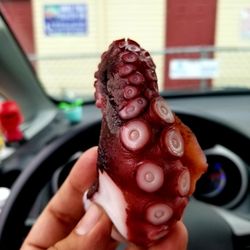 Reliable Market - Octopus