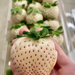 01.27.2025 found these Pineberries at Target