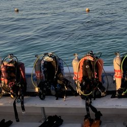 Scubadelphia Diveseekers