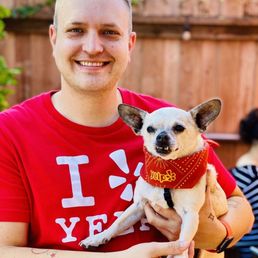 AVS saved my rescue pup, Chester's life