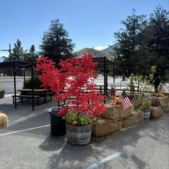The Pizza Barn - OUTSIDE THE RESTAURANT - Pizza Near Me - Kernville, California The Pizza Barn - OUTSIDE THE RESTAURANT - Pizza Near Me - Kernville, California