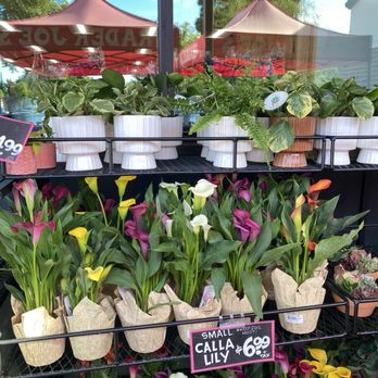 Trader Joe's - Lovely flowers - Grocery Near Me - San Ramon, California Trader Joe's - Lovely flowers - Grocery Near Me - San Ramon, California