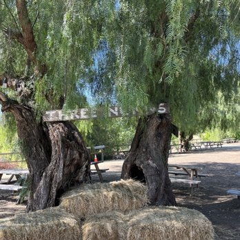 Three Nunns Farm - Picnic tables and hay bales by the entrance - Pumpkin Patches Near Me - Brentwood, California Three Nunns Farm - Picnic tables and hay bales by the entrance - Pumpkin Patches Near Me - Brentwood, California