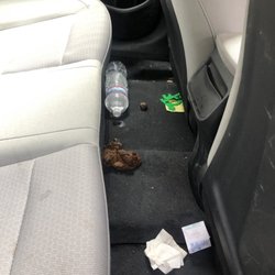 Stone's Chrysler Dodge Jeep Ram - Poop in back seat of car