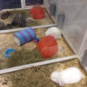 Ashton Park Garden Centre - Rabbits also available ha - Shopping Centers Near Me - Gt Man, XGM