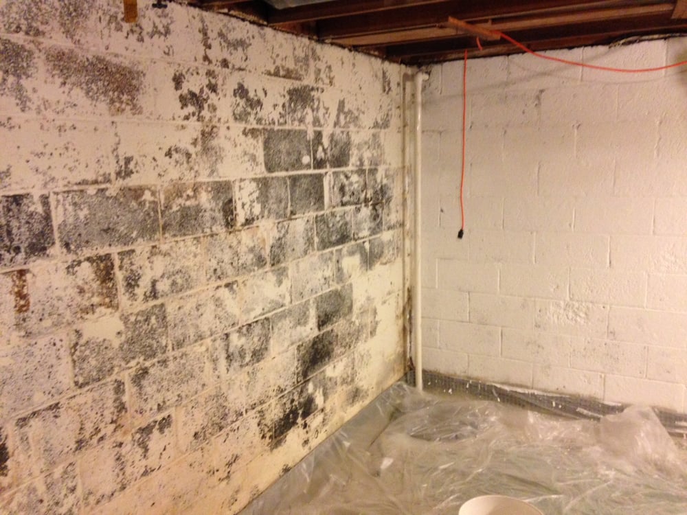 Slide of 3 Brothers Waterproofing