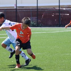 Santa Clara Rush - Tournament