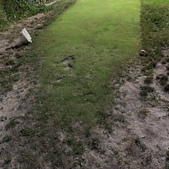 Golfers Paradise - Many of the holes looked like this at their start. Often we had to start a few feet up to avoid all the divots and find real grass. - Golf Near Me - Fullerton, California Golfers Paradise - Many of the holes looked like this at their start. Often we had to start a few feet up to avoid all the divots and find real grass. - Golf Near Me - Fullerton, California