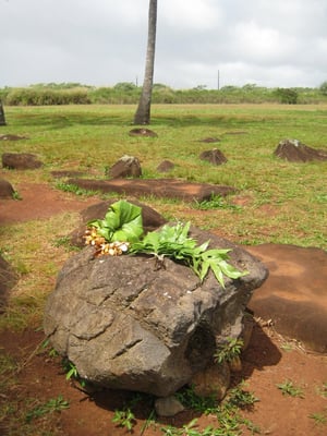 Kukaniloko Birth Stones by null