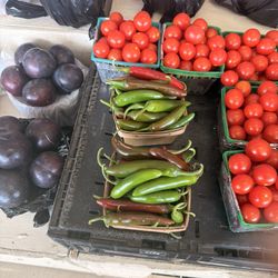 Sally’s Produce - Serrano peppers, plums and cherry tomatoes, super fresh watermelons, peaches and more!