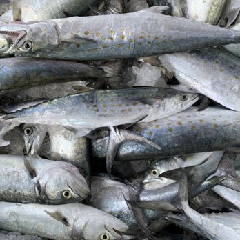 Outerbanks Seafood - Fish - Seafood Markets Near Me - Beaufort, North Carolina Outerbanks Seafood - Fish - Seafood Markets Near Me - Beaufort, North Carolina