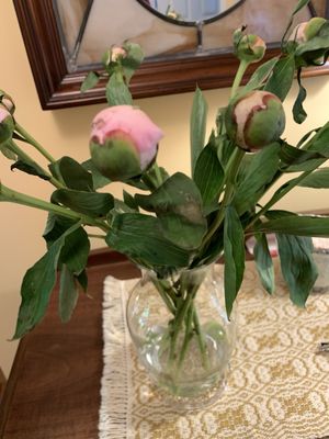ProFlowers by null