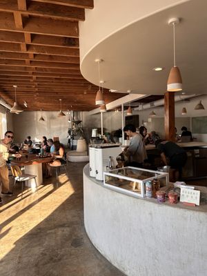 Palomino Coffee by null