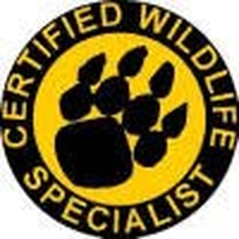Critter Control - Pest Control Near Me Critter Control - Pest Control Near Me
