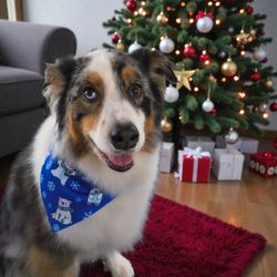 Chrissie's Canine Cuts