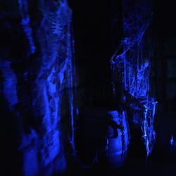 Haunted Castle Ride at Santa Cruz Beach Boardwalk - Skeletal