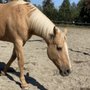 Photo of The Red Horse Farm