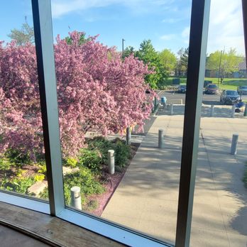 Maywood Public Library District - Libraries Near Me - Maywood, Illinois
