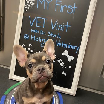 Holmdel Veterinary Clinic - Veterinarians Near Me - Holmdel, New Jersey Holmdel Veterinary Clinic - Veterinarians Near Me - Holmdel, New Jersey