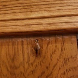 Peeking house has roaches ontthe wall point it out to the waitress she didn't care everyone still had to pay their bill....nasty Peeking house has roaches ontthe wall point it out to the waitress she didn't care everyone still had to pay their bill....nasty