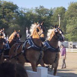 Saratoga County Fairgrounds