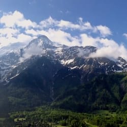 Les Campanules