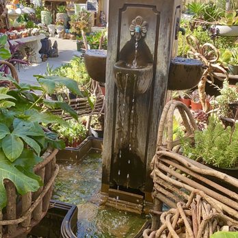 Plant Safari - Nurseries & Gardening Near Me - Upland, California Plant Safari - Nurseries & Gardening Near Me - Upland, California