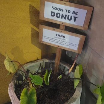Holey Grail Donuts - Donuts Near Me - Long Beach, California Holey Grail Donuts - Donuts Near Me - Long Beach, California