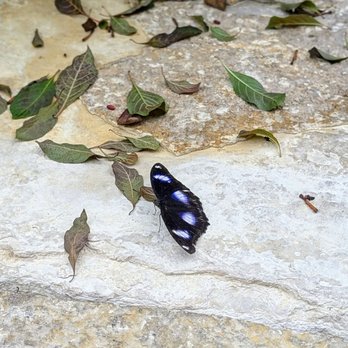 Reiman Gardens - Botanical Gardens Near Me - Ames, Iowa