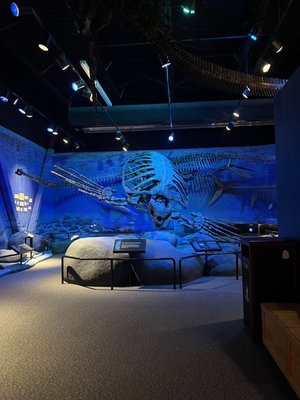 Mountain America Museum of Ancient Life at Thanksgiving Point by null