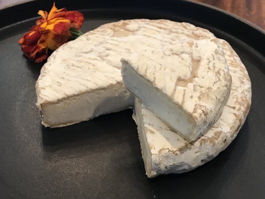 CLOSED Rebel Cheese Bistro Austin by null