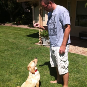 Furry Treasures - Duke - Pet Sitting Near Me
