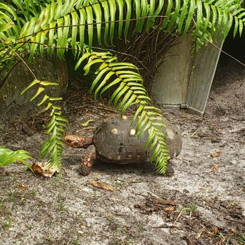 Naples Zoo - Zoos Near Me - Naples, Florida