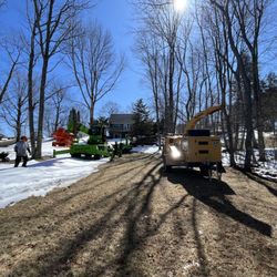 Tree-B-Gone of Green Bay