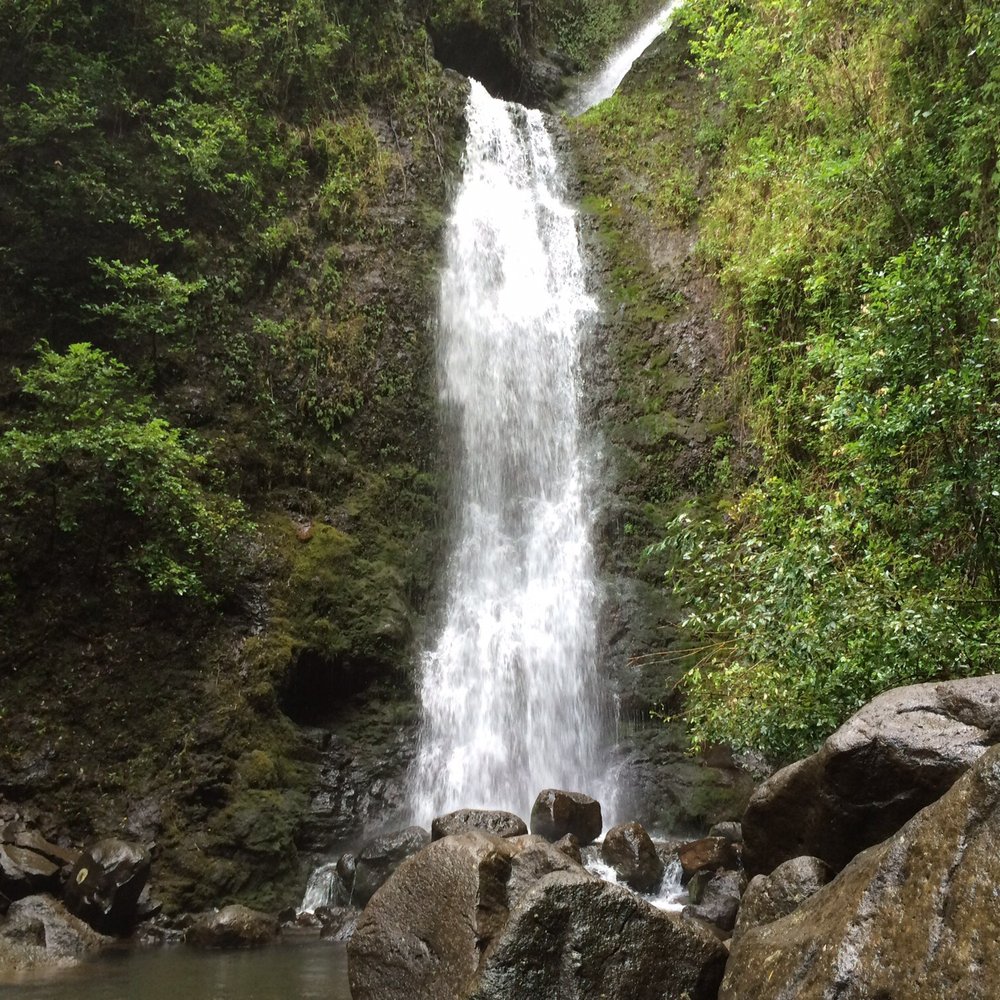 Lulumahu Falls - Go early to get the falls to yourself. - Hiking Near Me - Honolulu, Hawaii Lulumahu Falls - Go early to get the falls to yourself. - Hiking Near Me - Honolulu, Hawaii
