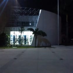 Universidad Modelo