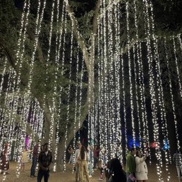 Light up tree