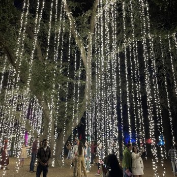 Lavender Nights - Light up tree - Festivals Near Me - Cherry Valley, California