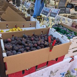 Knoll Farms - Fig season, 9/7/24 Ferry farmers market