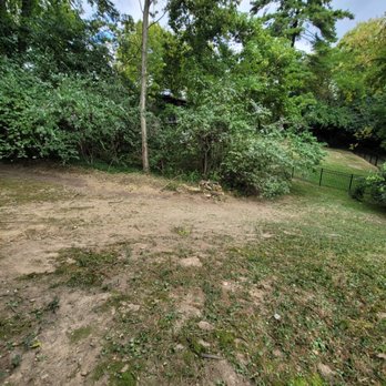 Catramex Services - We remove the tree always to the ground - Tree Services Near Me Catramex Services - We remove the tree always to the ground - Tree Services Near Me